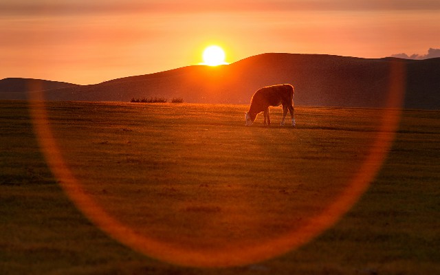 花呗还钱是用银行卡还吗_彭州套花呗