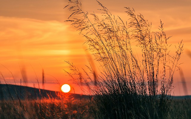 抖音商家月付开通_联通套餐 花呗