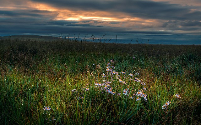 商家关闭花呗分期_昆明白条当面提现额度