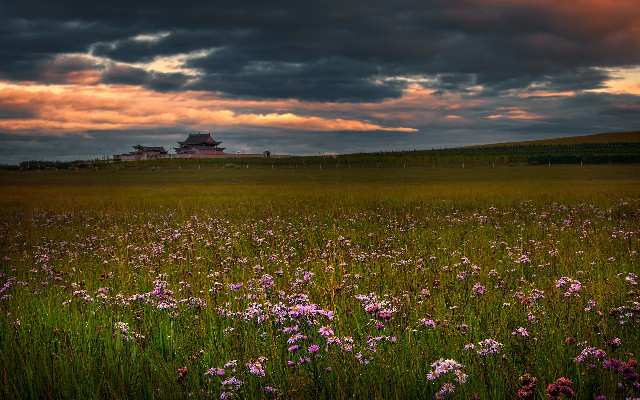 花呗谈套现_商家花呗收钱是真钱吗吗