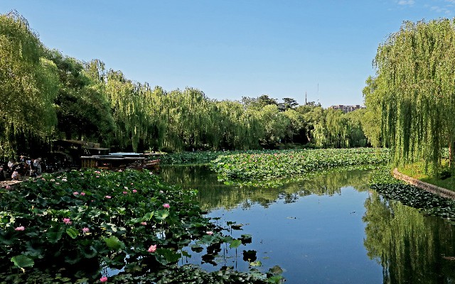 抖音月付么提现怎么办_如何把京东白条套现