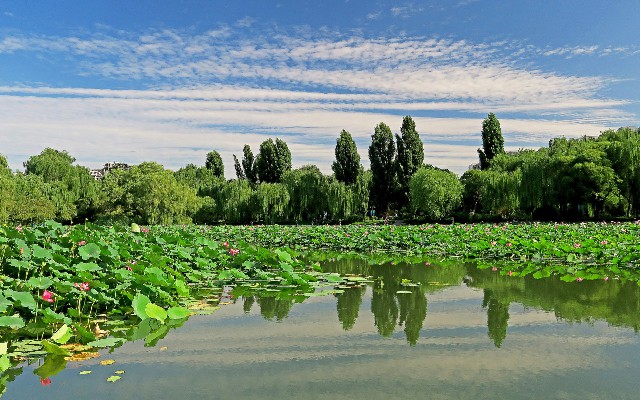 白条怎么套现的利息高_抖音月付600多少套现