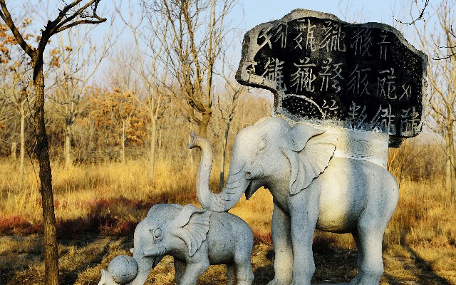 郑州白条取现_抖音月付小额取现怎么取