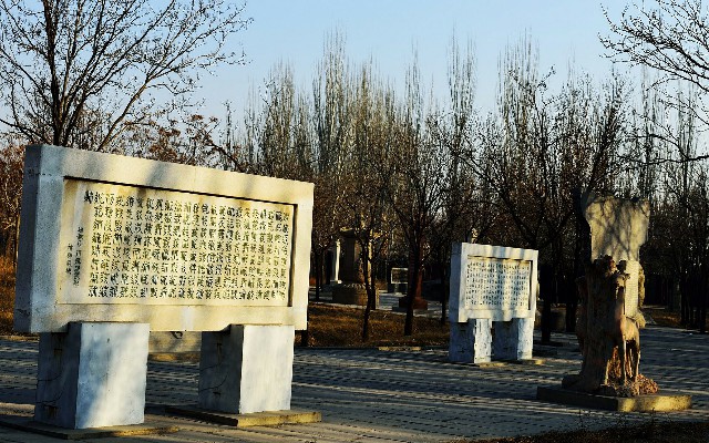 医保转出条件校验失败_白条提现页面