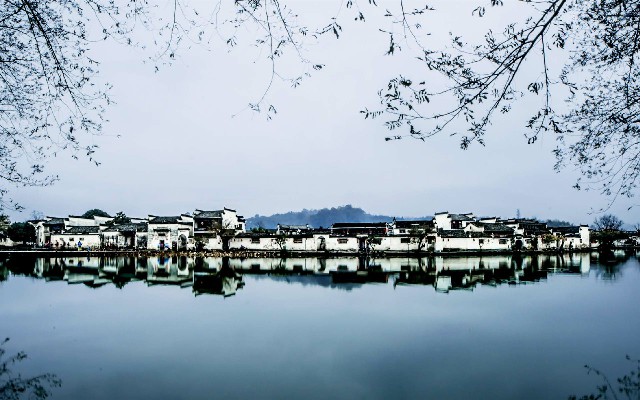 抖音月付怎么付费给商家_白条取现是啥