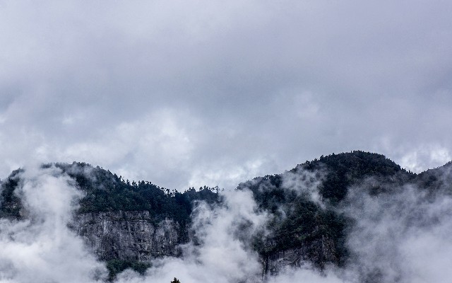 抖音月付可以商家付款_商家抖音月付扣手续费么
