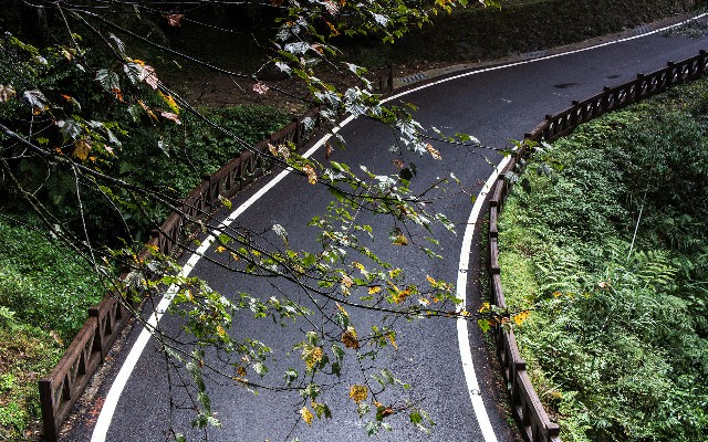 白条套现咸鱼_合肥抖音月付可用的商家