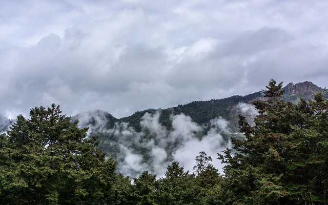 小额白条套现_临沂白条提现