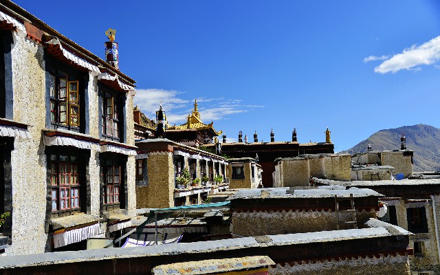 花呗提现网点_套羊小咩的公众号