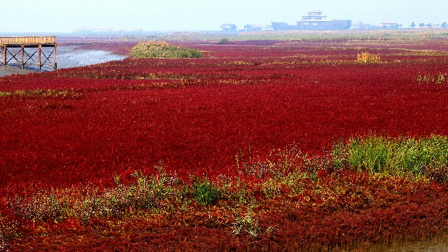 白条业务商家开通_医保卡钱可以取出