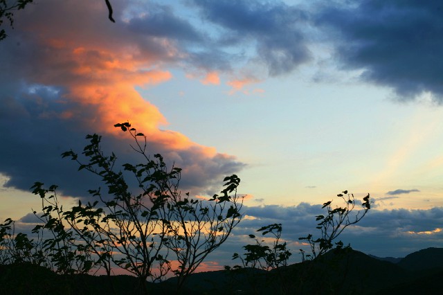 抖音商城套现月付能不能信_花呗转账商家扣手续费吗