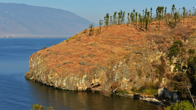 商家不用花呗_羊小咩消费额度怎么套出现金