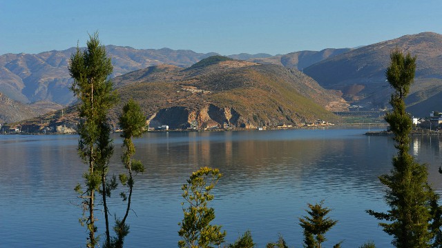 羊小咩便荔卡包怎么套出来_京东 白条提现