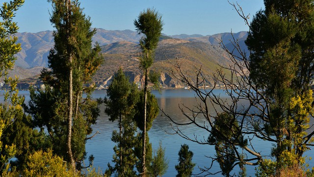 抖音月付中心抖音钱包怎么提现_羊小咩变现是什么