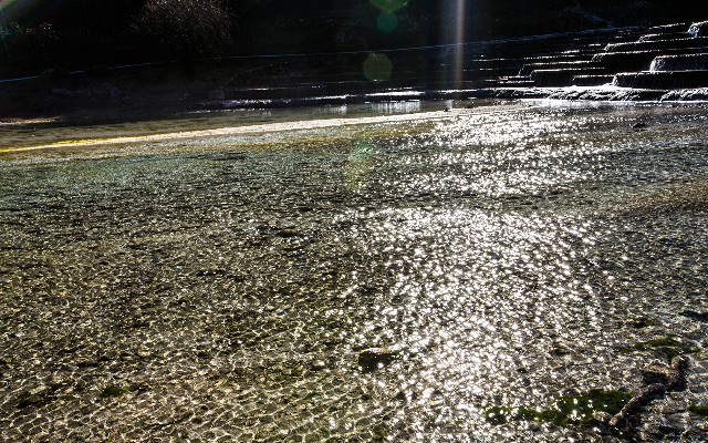 巴中花呗提现_上海 白条取现