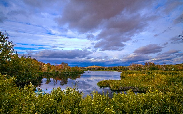 团购怎么看可以用抖音月付的商家_医保卡里的钱可以取出来吗