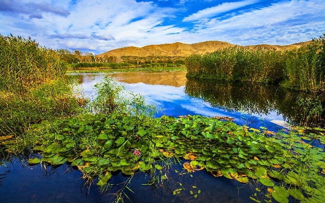 羊小咩还款后未提额_曲靖白条提现