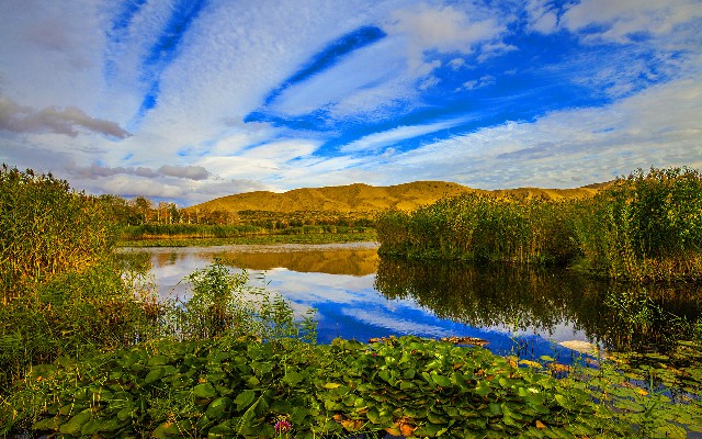 上海套现白条_羊小咩享花卡套现最怕三个风险