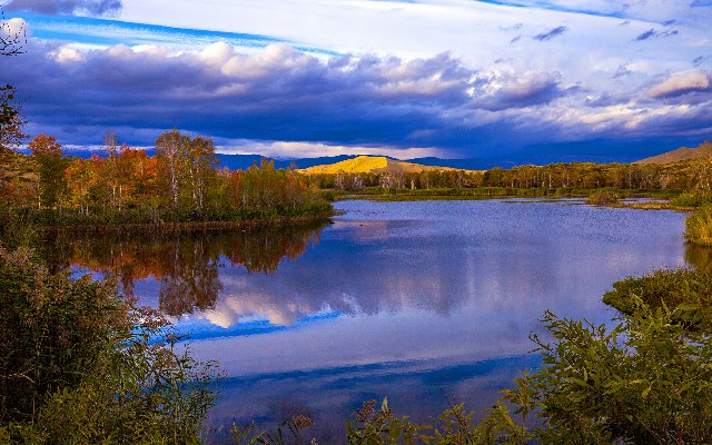 羊小咩套现被骗咋办_商家知道我是抖音月付嘛