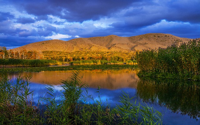 用支付宝花呗可以给商家_临沂抖音月付提现多久到账