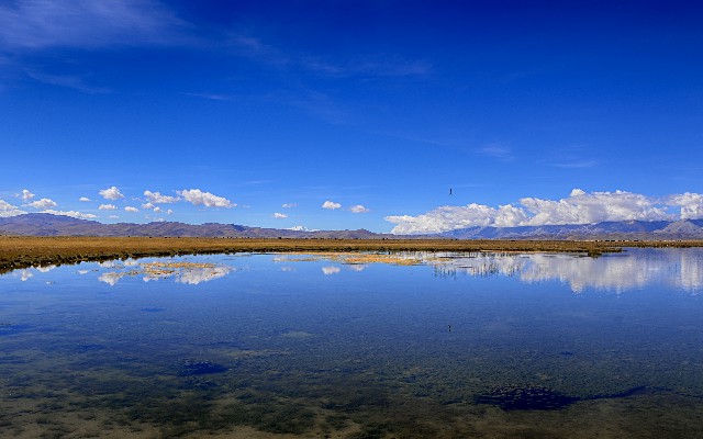 羊小咩额度多久提升_羊小咩里面卡包的钱可以提现吗