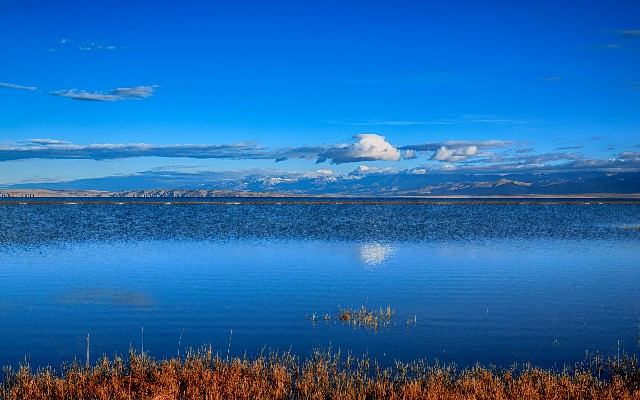 花呗套不出了_商家收款花呗不扣费吗