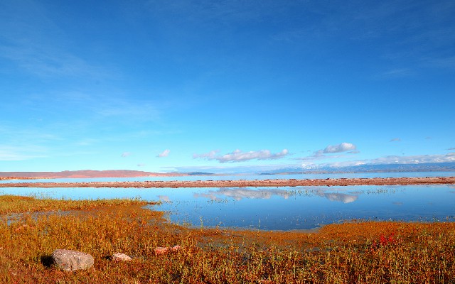 汕头套花呗_花呗信誉商家