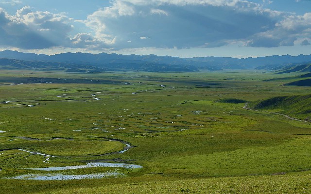 商家花呗收钱服务升级_羊小咩白条额度套现