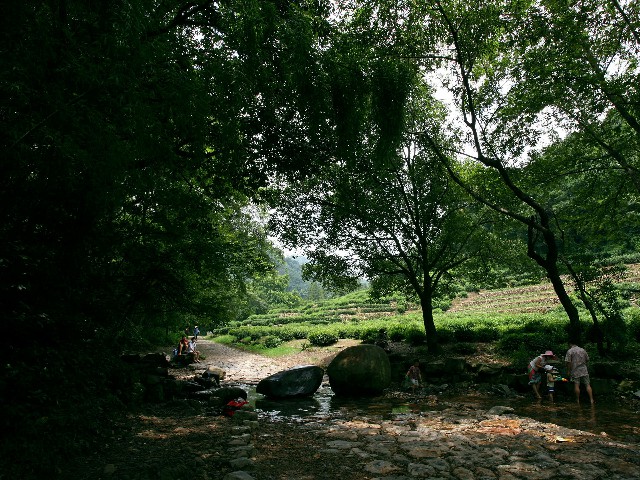 花呗注销商家账号_昆山抖音月付套现骗局揭秘