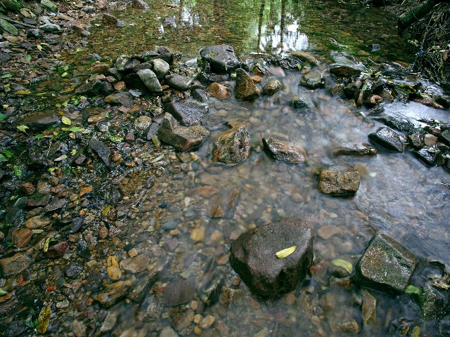 2022套花呗_抖音里抖音月付怎么提现