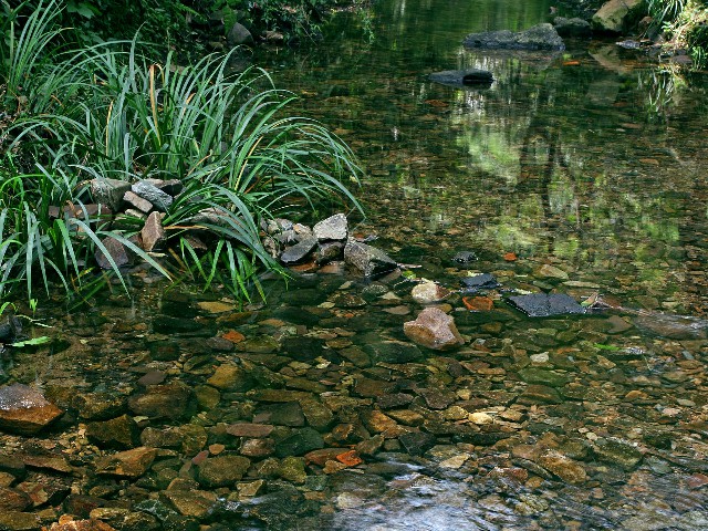 使用花呗的商家_花呗套餐广告