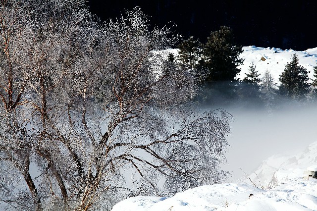 淘宝商家没有花呗_花呗国庆节套不了