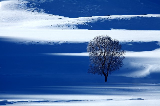 花呗套现界定_抖音月付商家拖鞋是真的吗
