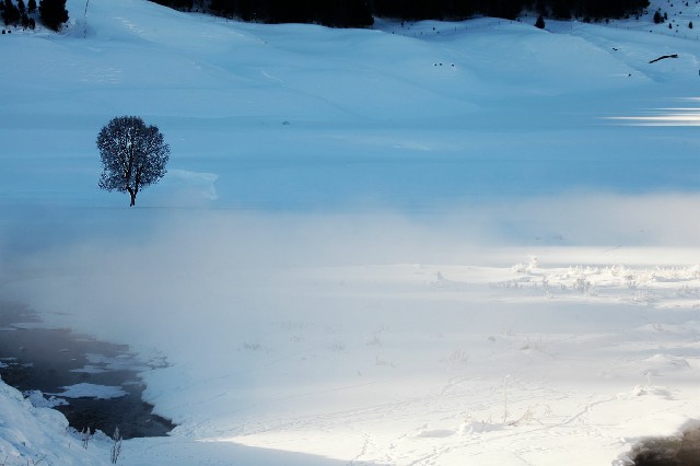 羊小咩还款后提额吗_套花呗的业务