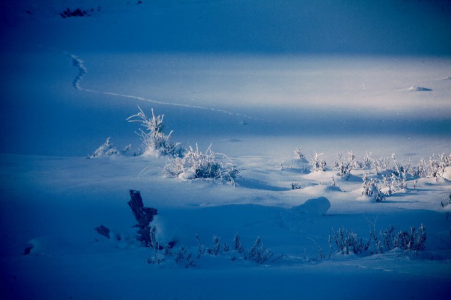 通州白条套现_优购套现花呗