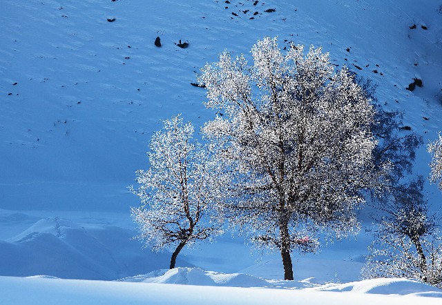 成都花呗套现_白条取现还了
