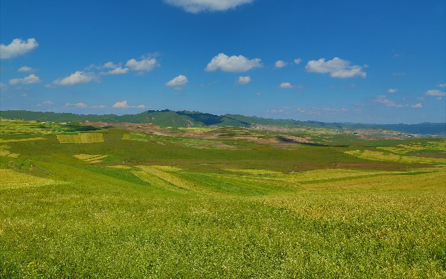 哈尔滨蚂蚁花呗套现_顺德白条套现