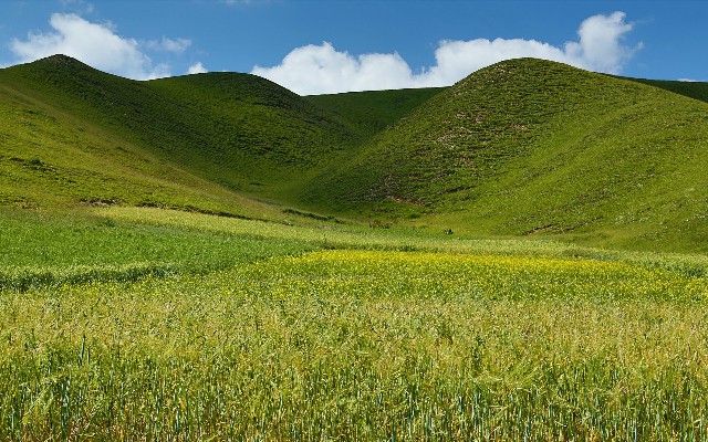 花呗小额微信_套花呗秒到