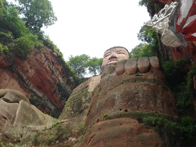 羊小咩提现费用在多少_花呗商家平台