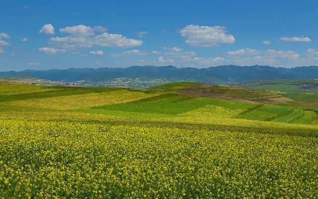 借呗套还花呗_扫商家花呗要手续费吗