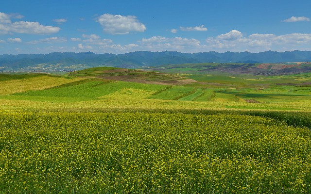 深证医保取现_羊小咩点提醒发货有用吗