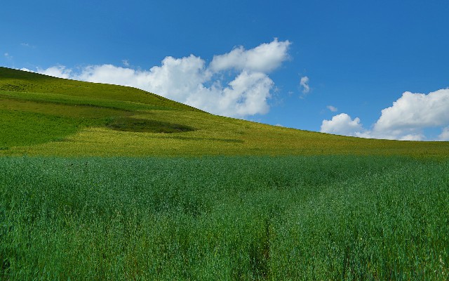 花呗能微信_花呗现在还能套吗