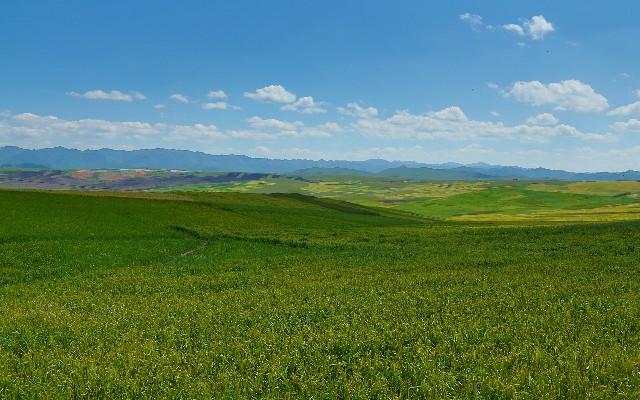 抖音月付专区衣服商家_怎么把银行卡转账到花呗