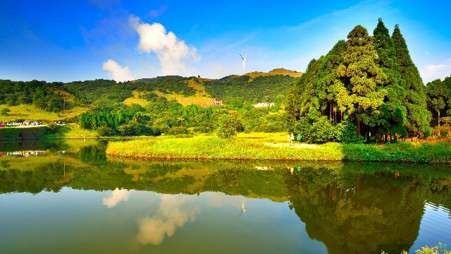 花呗怎样能绑定微信支付_花呗怎样把额度提出来