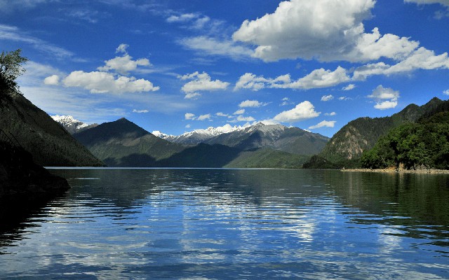 白条付款商家_今东白条怎么提现