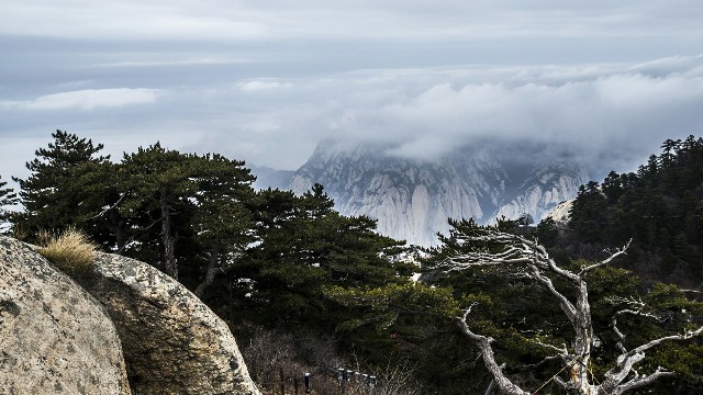 抖音月付怎样可以取现_花呗现套24小时