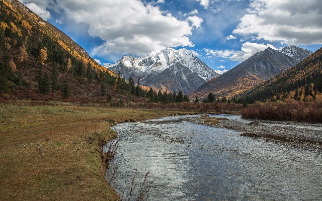 花呗呗风控怎么套_羊小咩购物苹果能出多少