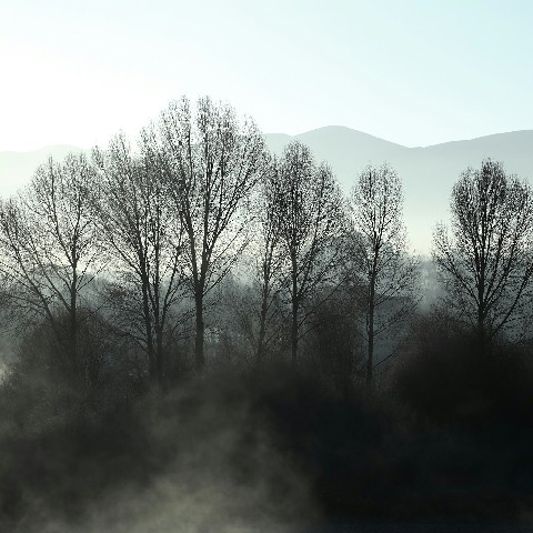 白条取现用还吗_抖音月付越南沙金怎么提现