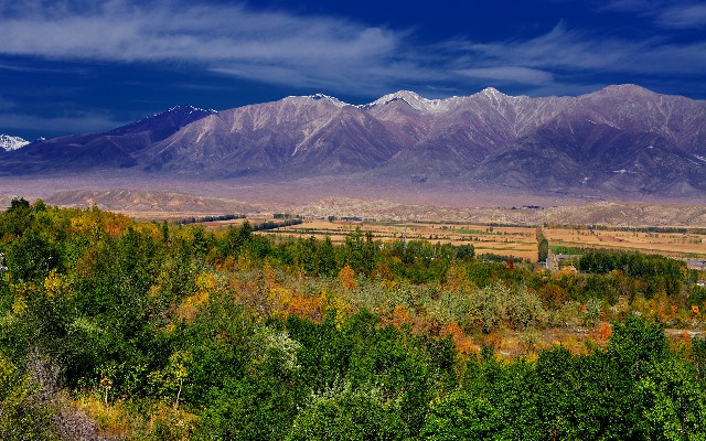 京东白条这么取现_京东白条提现商家秒到