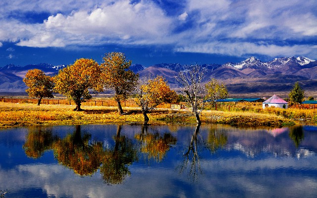 羊小咩会提前一天扣款吗_白条分期商家能取消吗